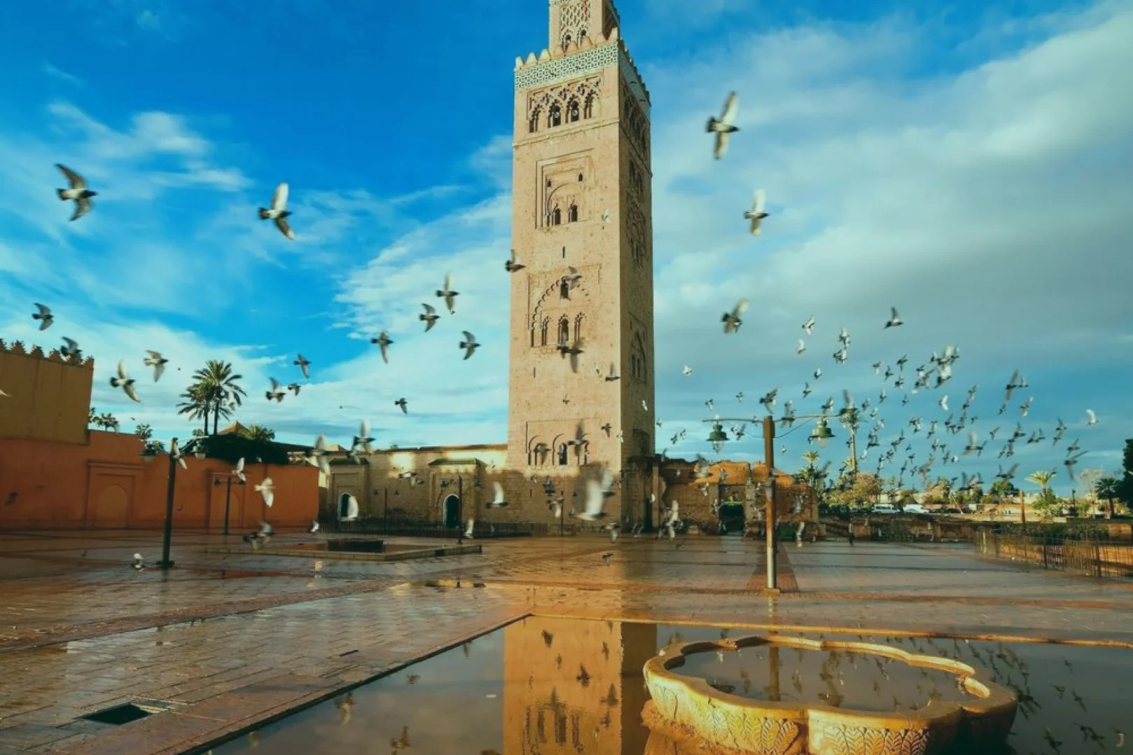 About MarHire Car Marrakech Agency